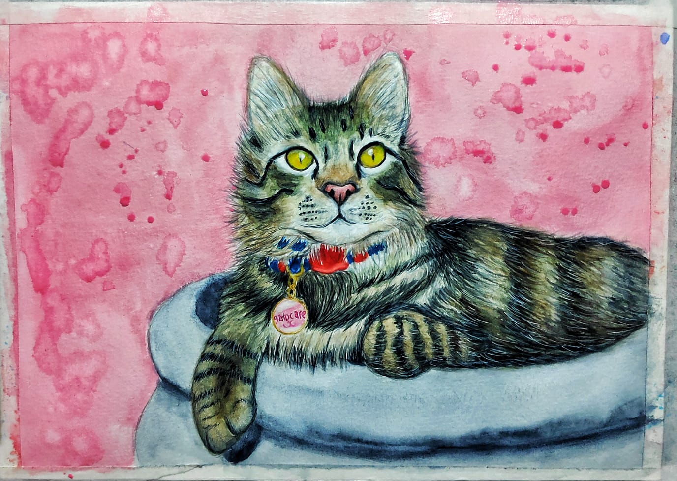 Gato Café